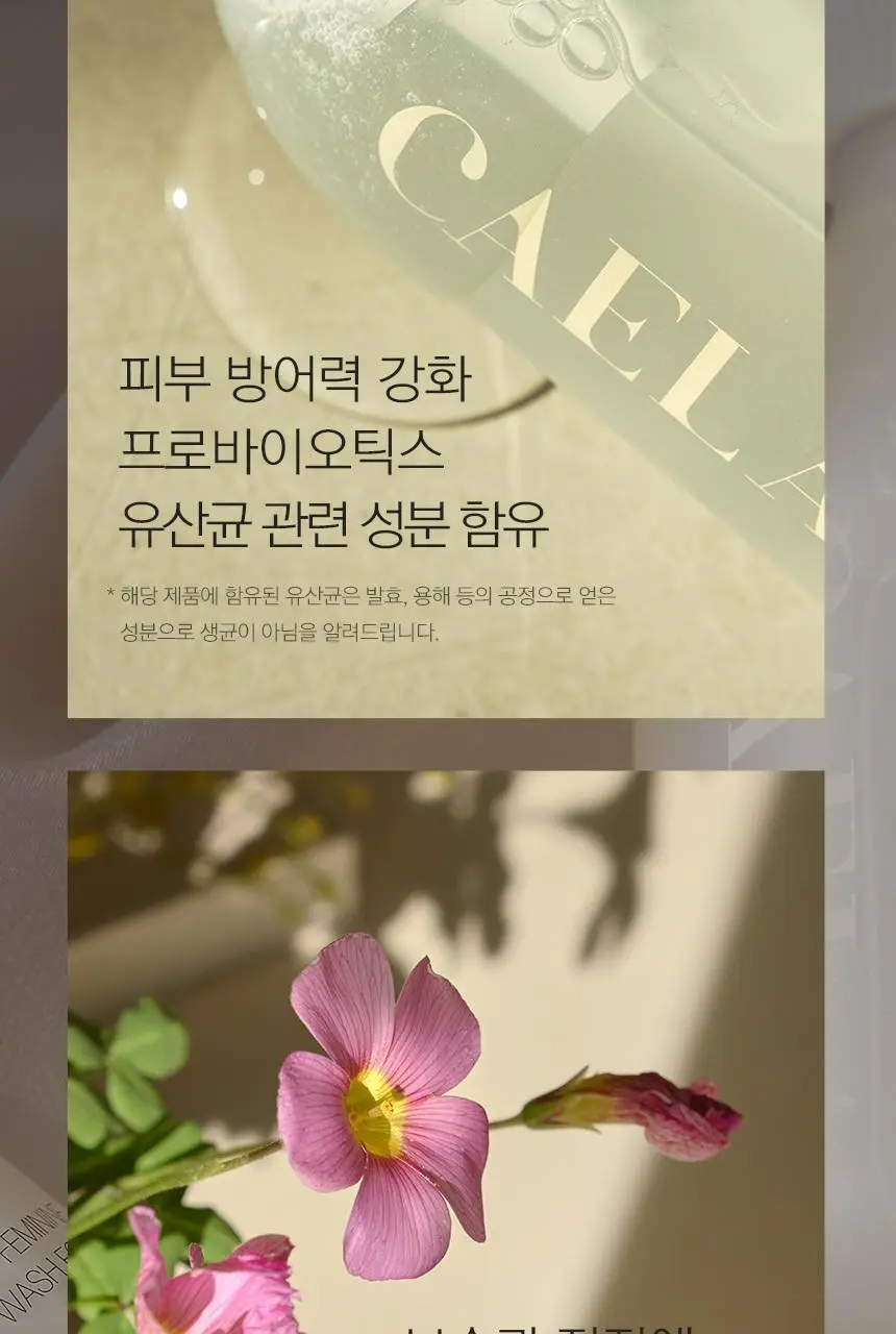 [제이제이PICK] 카엘라 여성청결제 3종 세트 (본품+폼30ml+티슈3매) 상세페이지 6